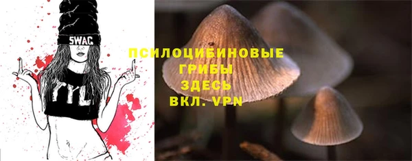 МДМА Дмитровск